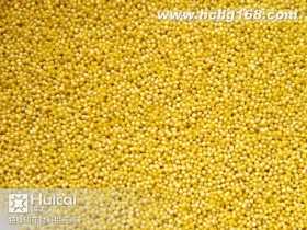 SC063小號珠光金黃膠珠